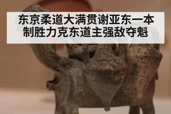 东京柔道大满贯谢亚东一本制胜力克东道主强敌夺魁